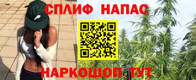 мяу мяу мука Славянск-на-Кубани