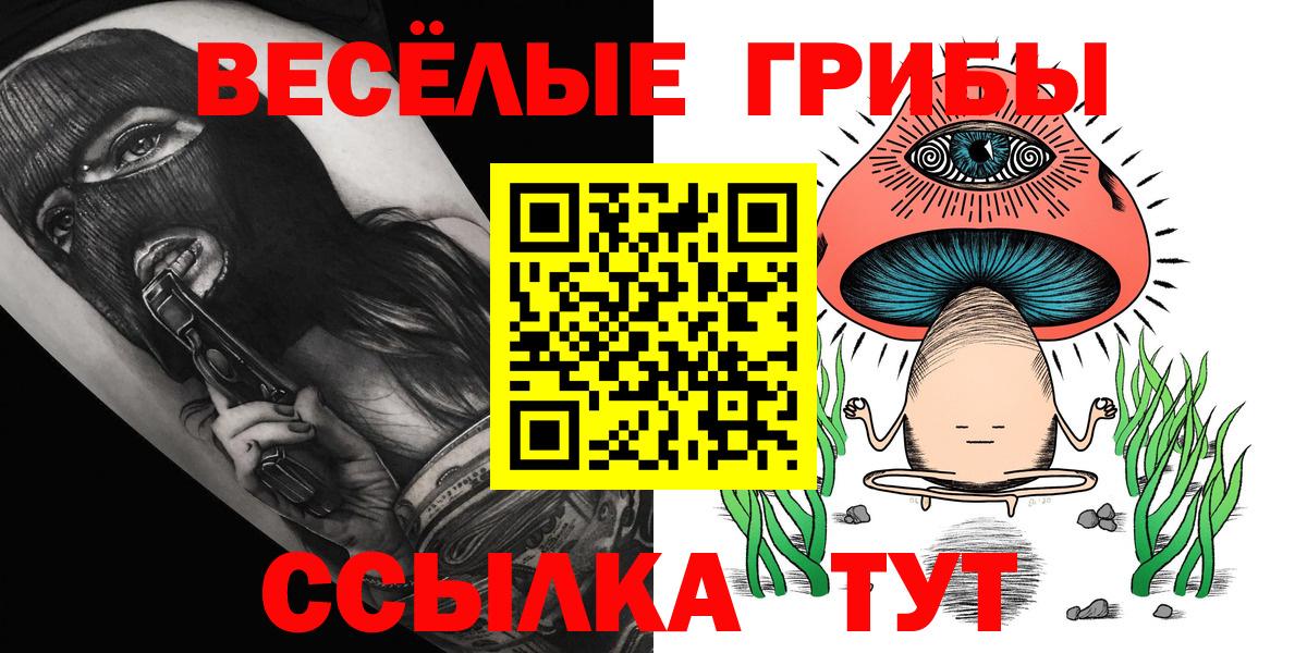 Псилоцибиновые грибы Psilocybine cubensis Удомля